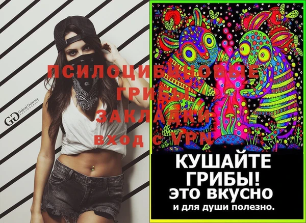 твердый Алзамай