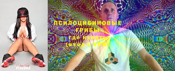 спиды Алексин