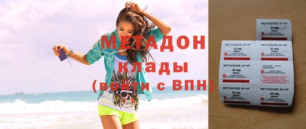прущие грибы Россошь