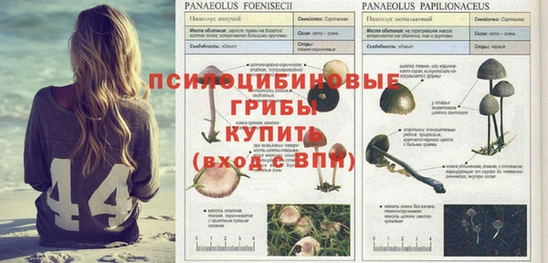 мет Весьегонск