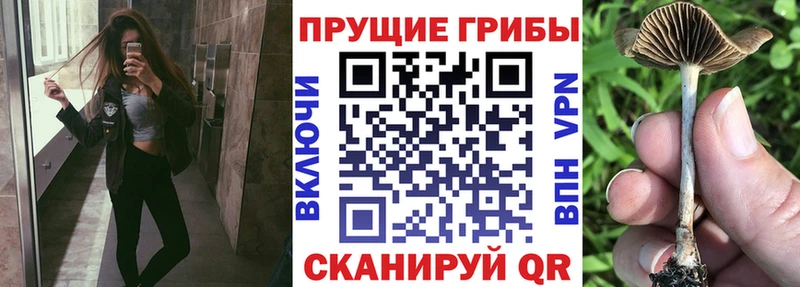 Галлюциногенные грибы ЛСД  наркота  Дюртюли 